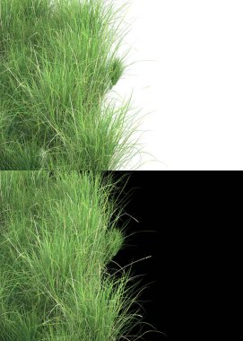 Afişler için beyaz ve siyah arkaplandaki çiçekli çim tarlaları. 3d görüntüleme - illüstrasyon