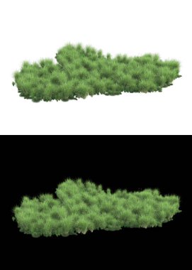 Afişler için beyaz ve siyah arkaplandaki çiçekli çim tarlaları. 3d görüntüleme - illüstrasyon