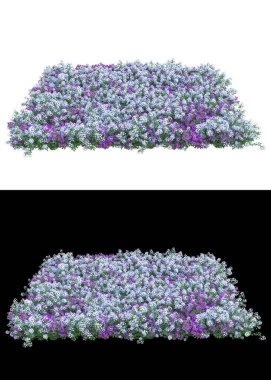 Afişler için beyaz ve siyah arkaplandaki çiçekli çim tarlaları. 3d görüntüleme - illüstrasyon
