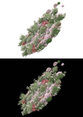 Afişler için beyaz ve siyah arkaplandaki çiçekli çim tarlaları. 3d görüntüleme - illüstrasyon