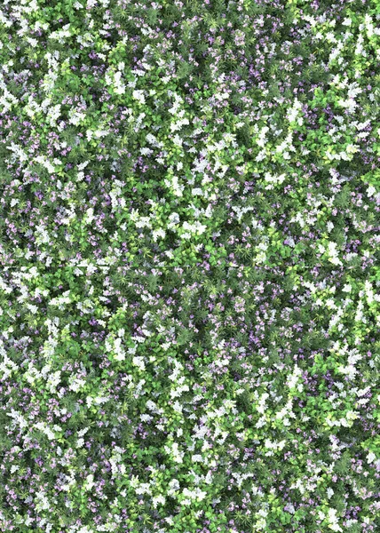 Follaje Con Hojas Verdes Flores Aisladas Sobre Fondo Blanco Negro — Foto de Stock