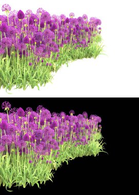 Afişler için beyaz ve siyah arkaplandaki çiçekli çim tarlaları. 3d görüntüleme - illüstrasyon
