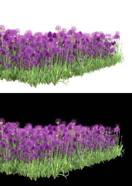 Afişler için beyaz ve siyah arkaplandaki çiçekli çim tarlaları. 3d görüntüleme - illüstrasyon