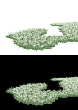 Afişler için beyaz ve siyah arkaplandaki çiçekli çim tarlaları. 3d görüntüleme - illüstrasyon