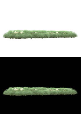 Dağ çim tarlası afişler için siyah ve beyaz arka planda izole edilmiş. 3d görüntüleme - illüstrasyon