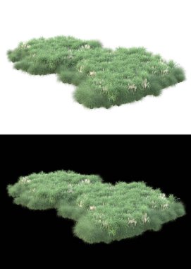 Dağ çim tarlası afişler için siyah ve beyaz arka planda izole edilmiş. 3d görüntüleme - illüstrasyon