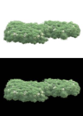 Dağ çim tarlası afişler için siyah ve beyaz arka planda izole edilmiş. 3d görüntüleme - illüstrasyon