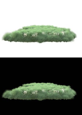 Dağ çim tarlası afişler için siyah ve beyaz arka planda izole edilmiş. 3d görüntüleme - illüstrasyon