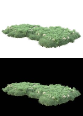 Dağ çim tarlası afişler için siyah ve beyaz arka planda izole edilmiş. 3d görüntüleme - illüstrasyon