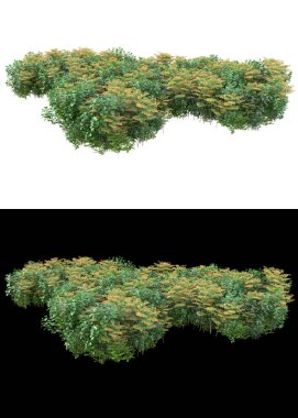 Dağ çim tarlası afişler için siyah ve beyaz arka planda izole edilmiş. 3d görüntüleme - illüstrasyon