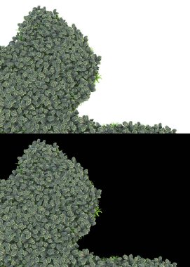 Dağ çim tarlası afişler için siyah ve beyaz arka planda izole edilmiş. 3d görüntüleme - illüstrasyon