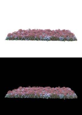 Dağ çim tarlası afişler için siyah ve beyaz arka planda izole edilmiş. 3d görüntüleme - illüstrasyon