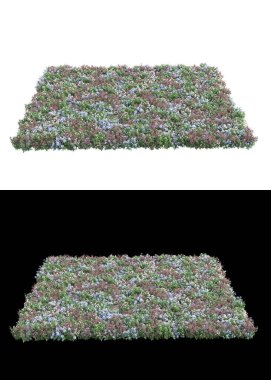 Dağ çim tarlası afişler için siyah ve beyaz arka planda izole edilmiş. 3d görüntüleme - illüstrasyon