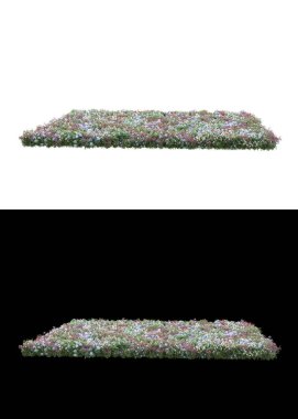 Dağ çim tarlası afişler için siyah ve beyaz arka planda izole edilmiş. 3d görüntüleme - illüstrasyon