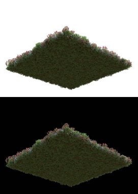 Dağ çim tarlası afişler için siyah ve beyaz arka planda izole edilmiş. 3d görüntüleme - illüstrasyon