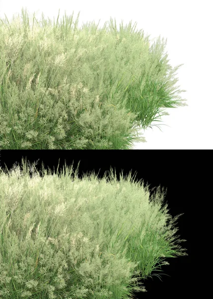 バナーのための白と黒の背景に隔離された花と草のフィールド 3Dレンダリング イラスト — ストック写真