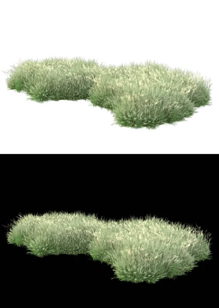 バナーのための白と黒の背景に隔離された花と草のフィールド 3Dレンダリング イラスト — ストック写真