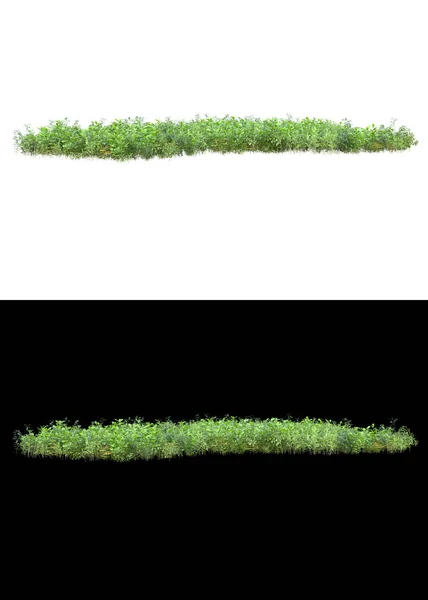 在白色和黑色背景上隔离的山地草场作为横幅 3D渲染 — 图库照片