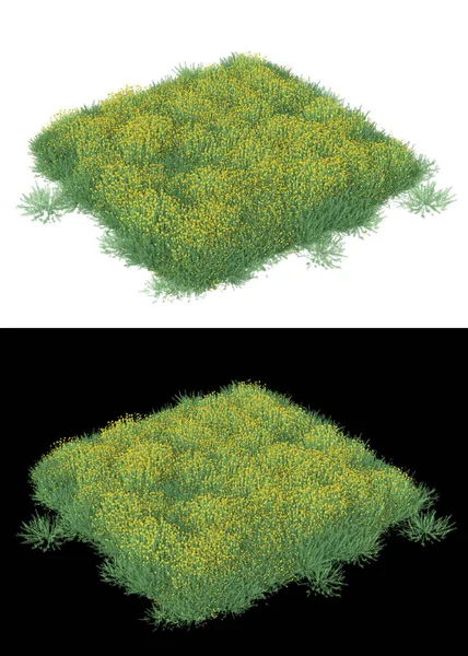 バナーの白と黒の背景に隔離された山の草のフィールド 3Dレンダリング イラスト — ストック写真