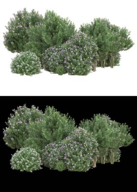 Dağ çim tarlası afişler için siyah ve beyaz arka planda izole edilmiş. 3d görüntüleme - illüstrasyon