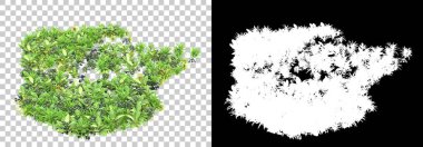 Arka planda maskeyle izole edilmiş çimen tohumu. 3d görüntüleme - illüstrasyon