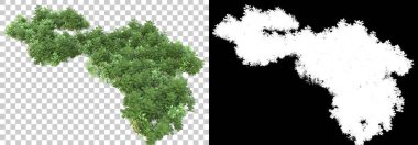 Arka planda maskeyle izole edilmiş yeşillik adası. 3d görüntüleme - illüstrasyon