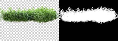 Arka planda maskeyle izole edilmiş yeşillik adası. 3d görüntüleme - illüstrasyon