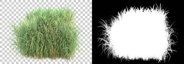 Arka planda maskeyle izole edilmiş yeşillik adası. 3d görüntüleme - illüstrasyon