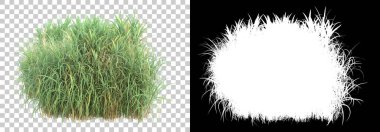 Arka planda maskeyle izole edilmiş yeşillik adası. 3d görüntüleme - illüstrasyon