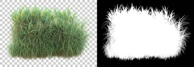 Arka planda maskeyle izole edilmiş yeşillik adası. 3d görüntüleme - illüstrasyon