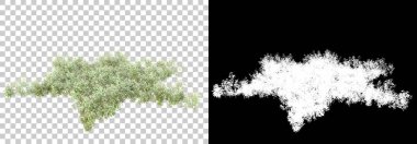 Arka planda maskeyle izole edilmiş yeşillik adası. 3d görüntüleme - illüstrasyon