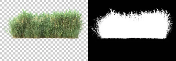 Arka planda maskeyle izole edilmiş yeşillik adası. 3d görüntüleme - illüstrasyon