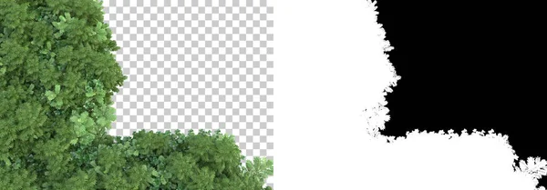 Острів Листя Ізольований Фоні Маскою Візуалізація Ілюстрація — стокове фото