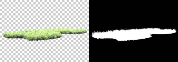 マスクで背景に隔離された葉の島 3Dレンダリング イラスト — ストック写真