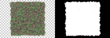 Çimen ve çiçek adası arka planda maskeyle izole edilmiş. 3d görüntüleme - illüstrasyon