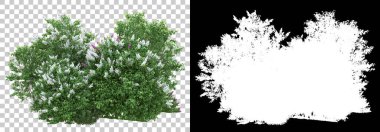 Çimen ve çiçek adası arka planda maskeyle izole edilmiş. 3d görüntüleme - illüstrasyon