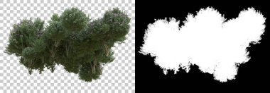 Çimen ve çiçek adası arka planda maskeyle izole edilmiş. 3d görüntüleme - illüstrasyon