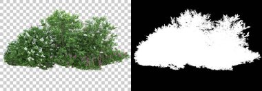 Çimen ve çiçek adası arka planda maskeyle izole edilmiş. 3d görüntüleme - illüstrasyon