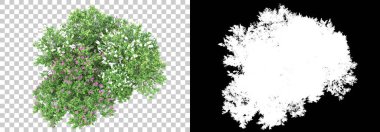 Çimen ve çiçek adası arka planda maskeyle izole edilmiş. 3d görüntüleme - illüstrasyon