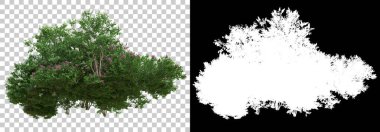 Çimen ve çiçek adası arka planda maskeyle izole edilmiş. 3d görüntüleme - illüstrasyon