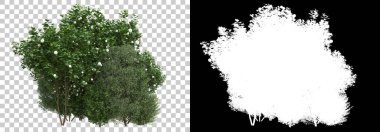 Arka planda maskeyle yalıtılmış bahar bitkileri. 3d görüntüleme - illüstrasyon