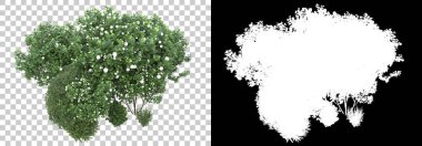 Arka planda maskeyle yalıtılmış bahar bitkileri. 3d görüntüleme - illüstrasyon