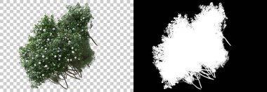 Arka planda maskeyle yalıtılmış bahar bitkileri. 3d görüntüleme - illüstrasyon