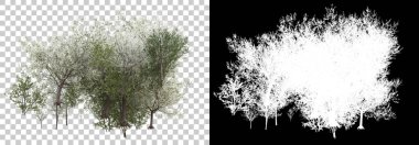 Arka planda maskeyle yalıtılmış bahar bitkileri. 3d görüntüleme - illüstrasyon