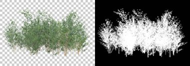 Arka planda maskeyle yalıtılmış bahar bitkileri. 3d görüntüleme - illüstrasyon