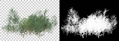 Arka planda maskeyle yalıtılmış bahar bitkileri. 3d görüntüleme - illüstrasyon