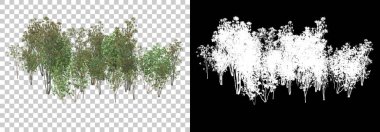 Arka planda maskeyle yalıtılmış bahar bitkileri. 3d görüntüleme - illüstrasyon