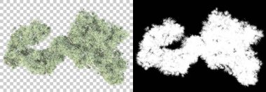 Arka planda maskeyle yalıtılmış bahar bitkileri. 3d görüntüleme - illüstrasyon