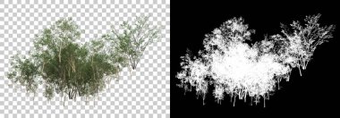 Orman bitkileri arka planda maskeyle izole edilmiş. 3d görüntüleme - illüstrasyon