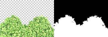 Yeşil yaz bitkileri arka planda maskeyle izole edilmiş. 3d görüntüleme - illüstrasyon